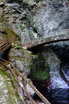DSCN03663