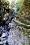 DSCN03664