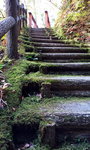 DSCN03665