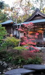 DSCN03704