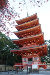 DSCN03716