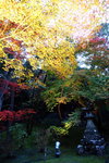 DSCN03720