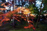 DSCN03722
