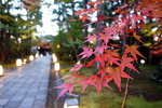 DSCN03724