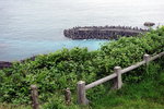 IMG_2555
