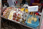 DSCN0892