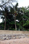 DSCN0923