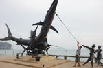 DSCN0930