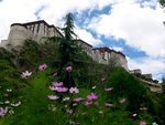 0049 Tibet