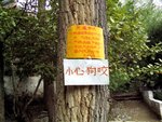 0052 Tibet