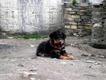 0053 Tibet
