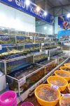 DSCN48029