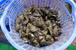 DSCN48030