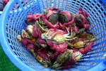 DSCN48031