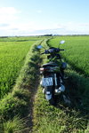 DSCN48742