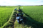 DSCN48743
