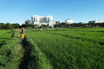 DSCN48744
