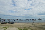 DSCN49147