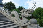 DSCN49178