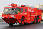 NFD1