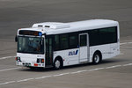 ANA BUS