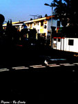 DCF_0719 BC