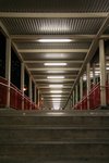 IMG_4579