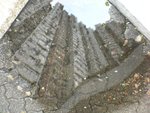 原圖
