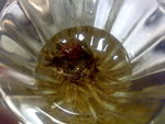 20070610190