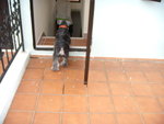 DSCN1174
