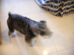 DSCN1176