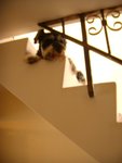DSCN1180