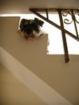 DSCN1181