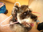 DSCN1185