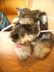 DSCN1187