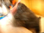 DSCN1190