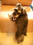 DSCN1195