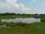 20070730 WETLAND