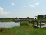 20070730 WETland 2