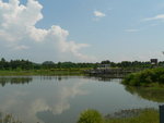 20070730 wetland 3