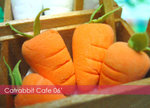 Vegetable09