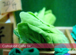 Vegetable12