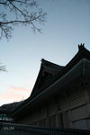IMG_8363 copy