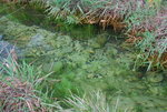 DSC_0049