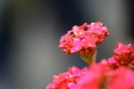 IMG_8824