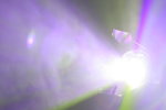 IMG_0103