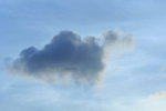 IMG_3235