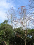 DSCN1023