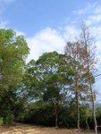 DSCN1025