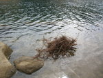 DSCN1035